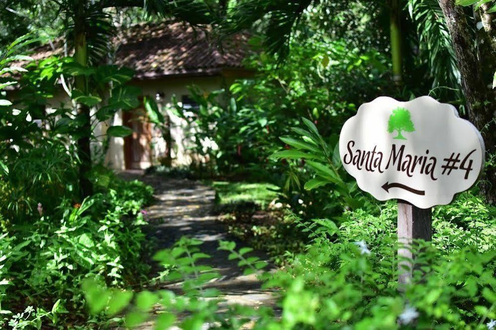 Mystic River Resort 圣伊格纳西奥 外观 照片